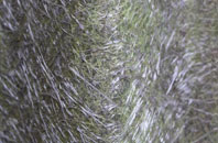 Rosewarne fibreglass roof work